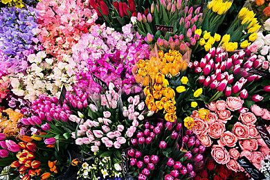 Akatsuki Games和光荣联合开发一个次世代游戏